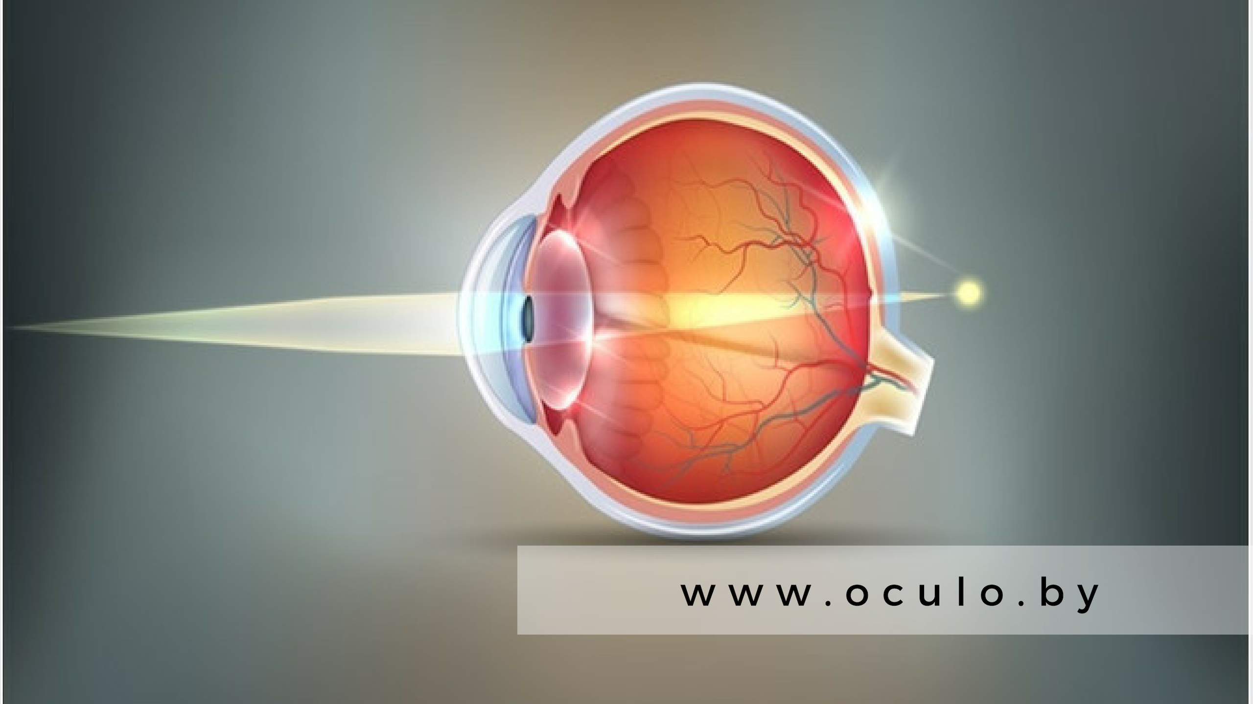 дальнозоркость
